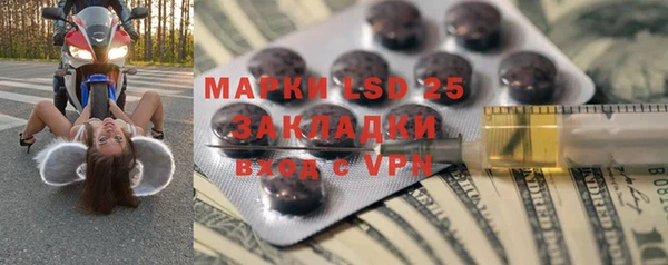ГАЛЛЮЦИНОГЕННЫЕ ГРИБЫ Магас
